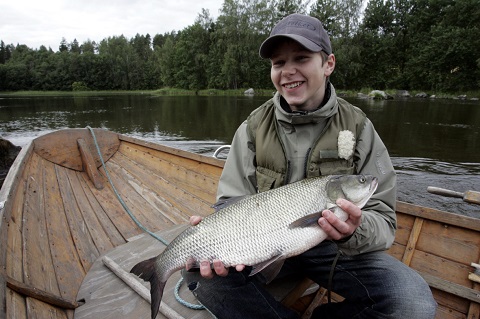 A two kilo asp offers a nice experience, usually C&R fish